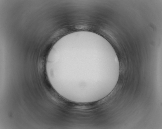 X0000113990171200910021017