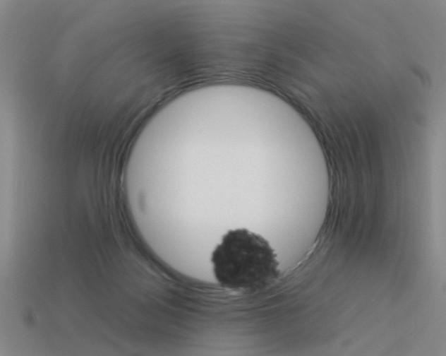 X0000113990172200910021017