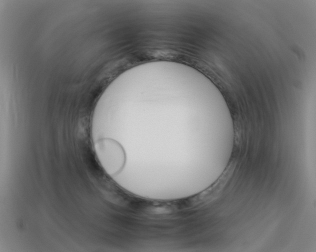 X0000113990175200910021017