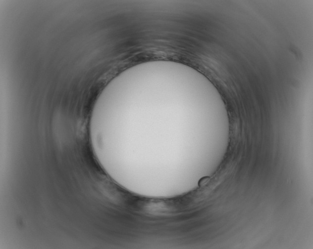X0000113990177200910021017