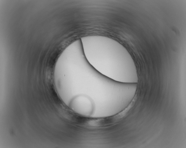 X0000113990178200910021017