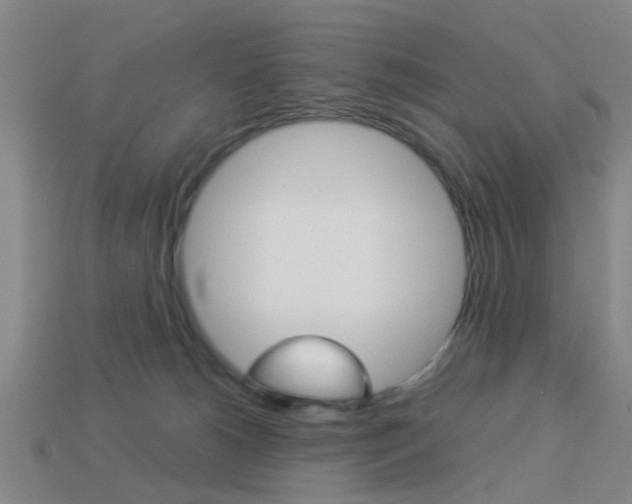 X0000113990180200910021017