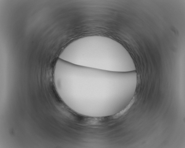 X0000113990182200910021017