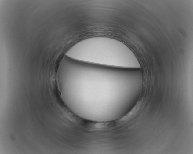X0000113990184200910021017