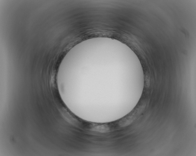 X0000113990185200910021017