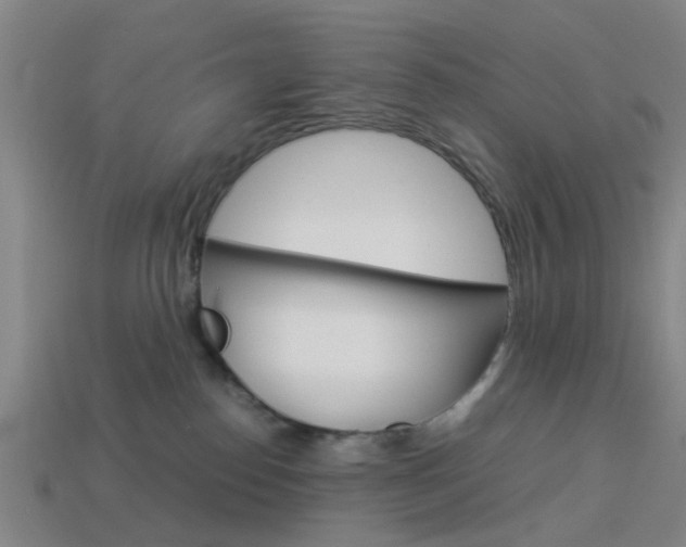 X0000113990186200910021017