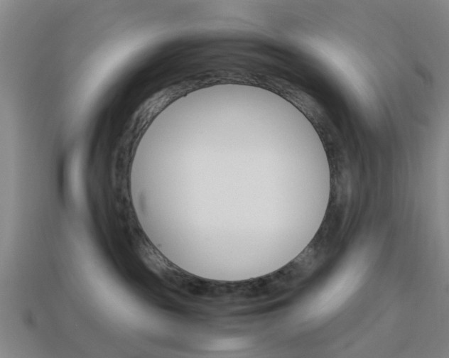 X0000113990189200910021017