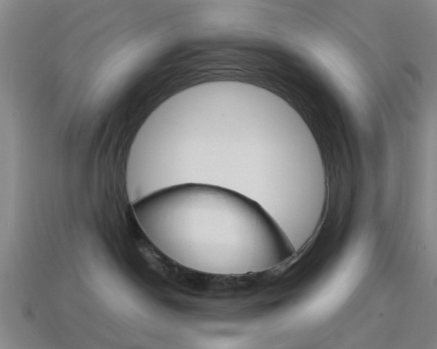X0000113990190200910021017