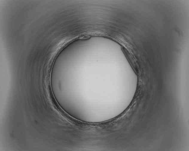 X0000113990193200910021017
