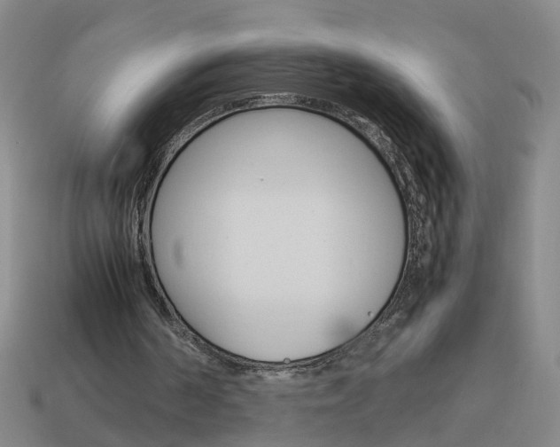 X0000113990194200910021017