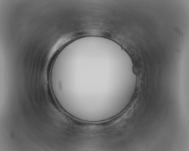 X0000113990198200910021017