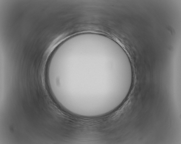X0000113990199200910021017