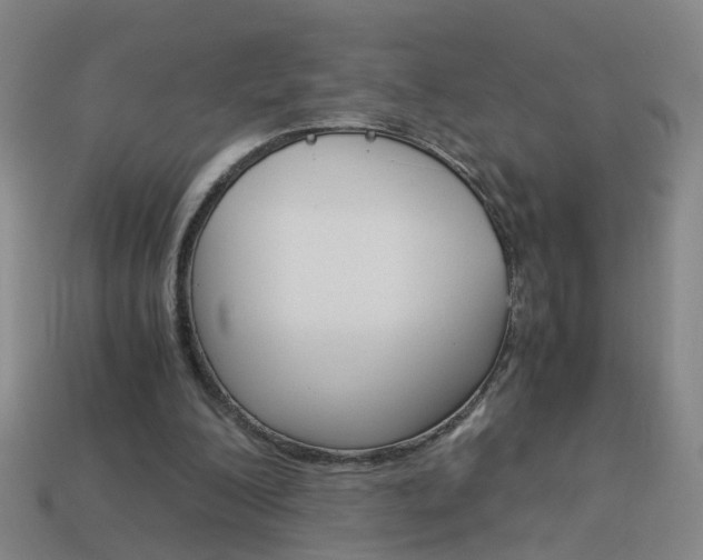 X0000113990200200910021017