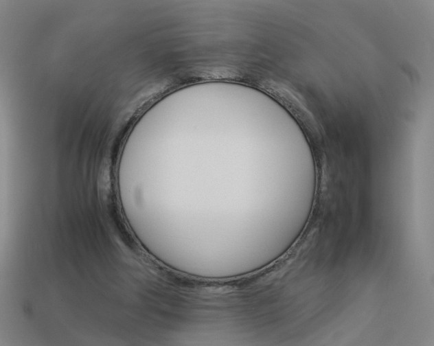X0000113990202200910021017