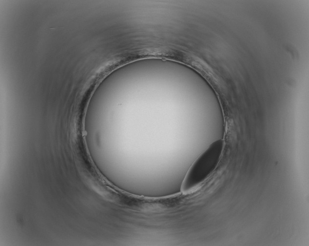 X0000113990203200910021017