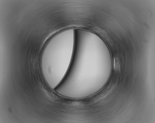 X0000113990204200910021017