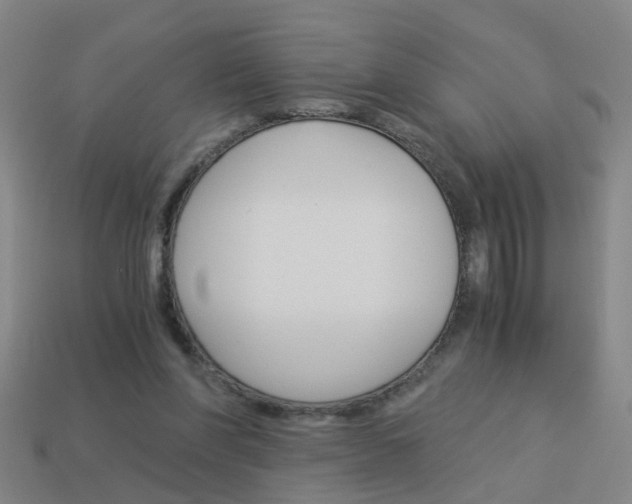 X0000113990206200910021017