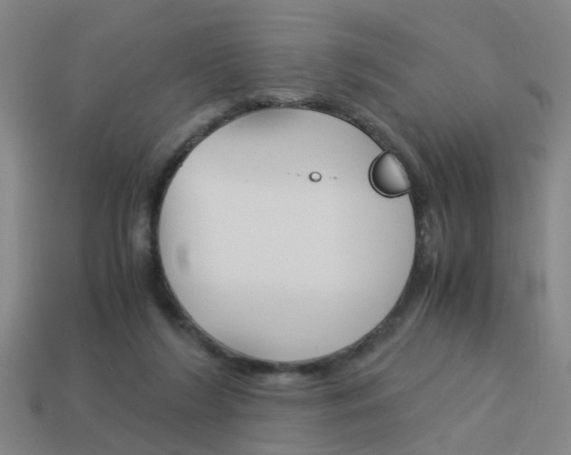 X0000113990212200910021017