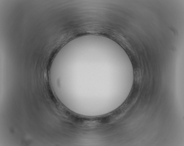X0000113990213200910021017