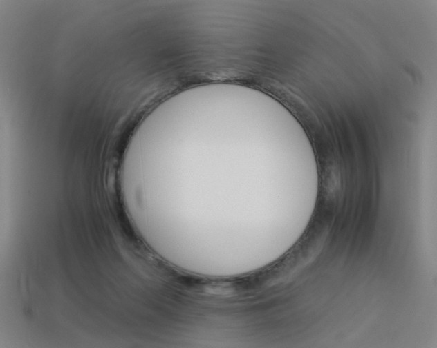 X0000113990214200910021017