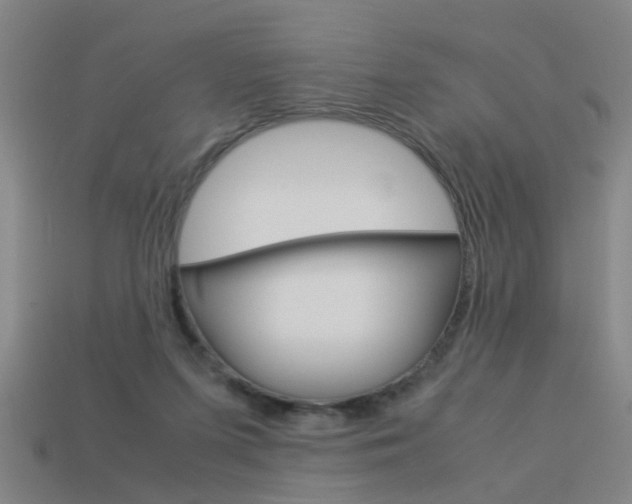 X0000113990215200910021017
