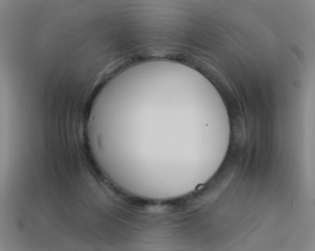 X0000113990216200910021017