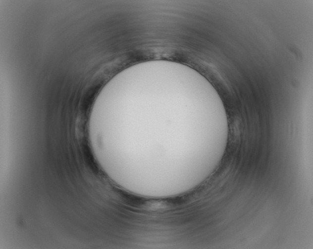 X0000113990218200910021017