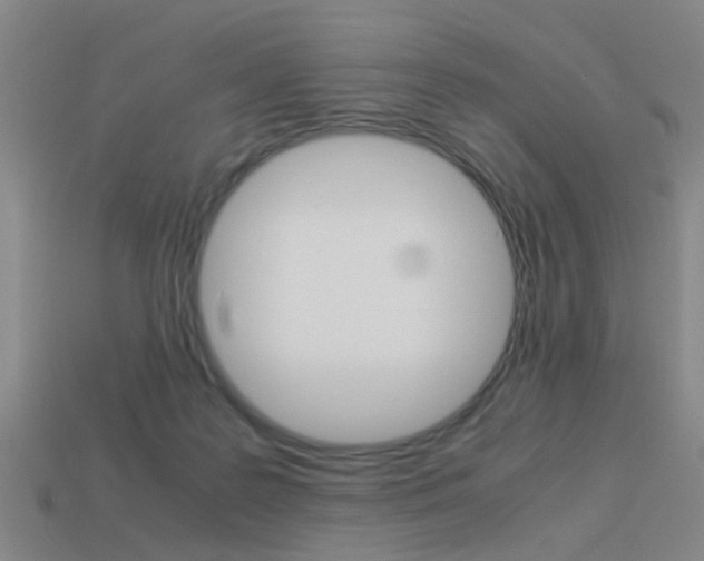 X0000113990219200910021016