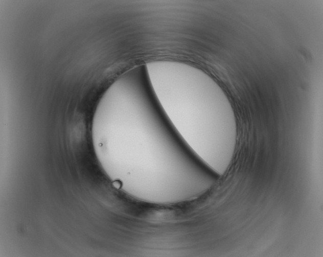 X0000113990220200910021016