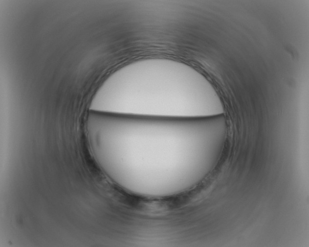 X0000113990221200910021016
