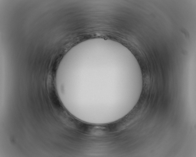 X0000113990222200910021016