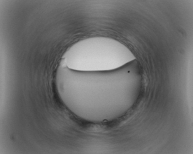 X0000113990223200910021016