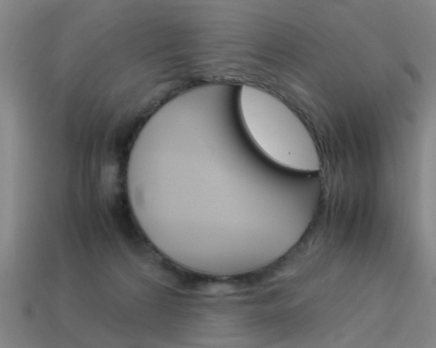X0000113990224200910021016
