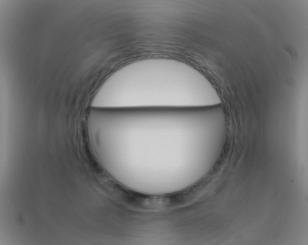 X0000113990225200910021016