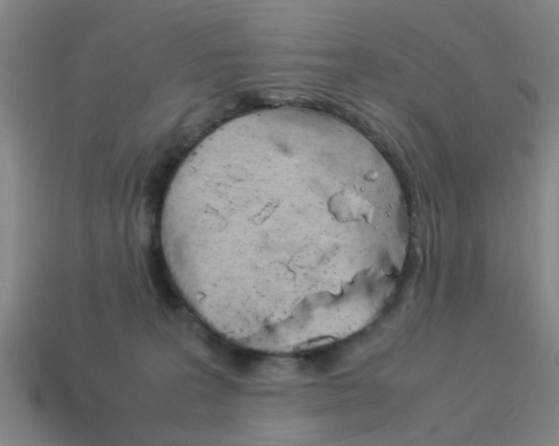 X0000113990227200910021016