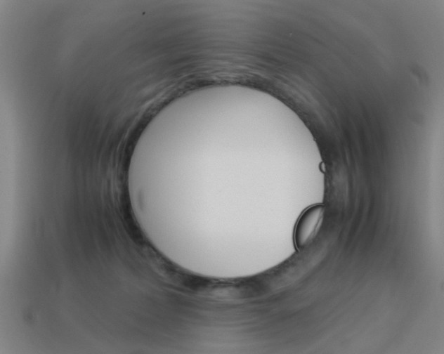 X0000113990228200910021016
