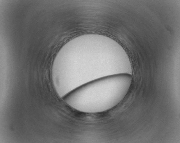 X0000113990229200910021016