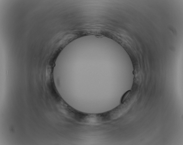 X0000113990231200910021016