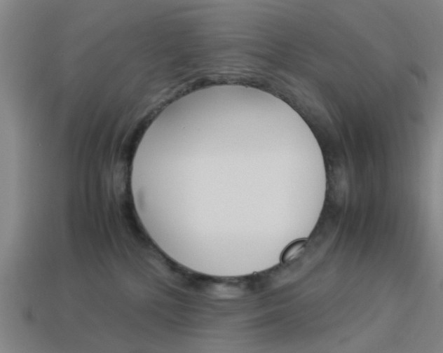 X0000113990232200910021016