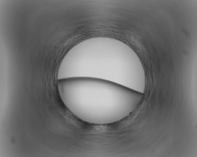X0000113990233200910021016