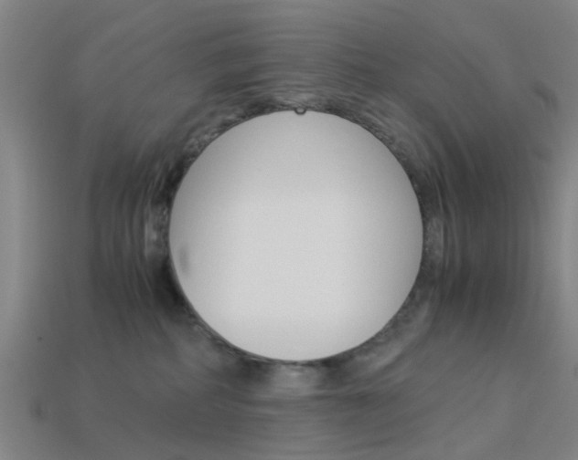 X0000113990234200910021016