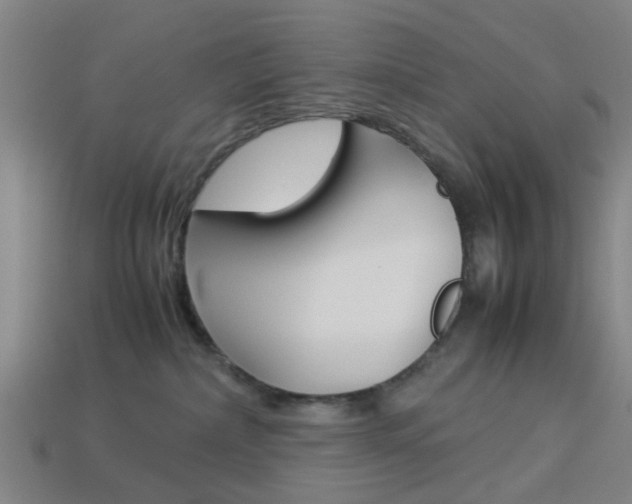 X0000113990236200910021016