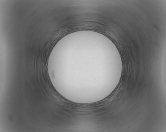 X0000113990237200910021016