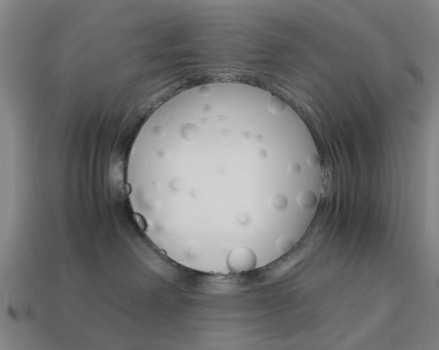 X0000113990238200910021016