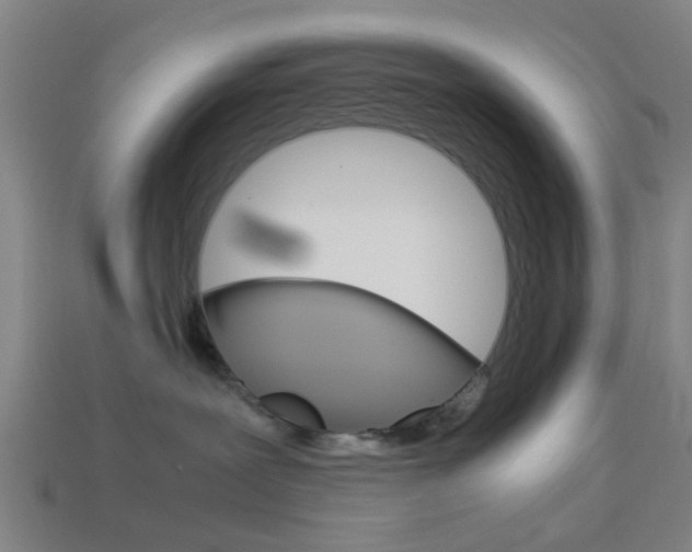 X0000113990239200910021016