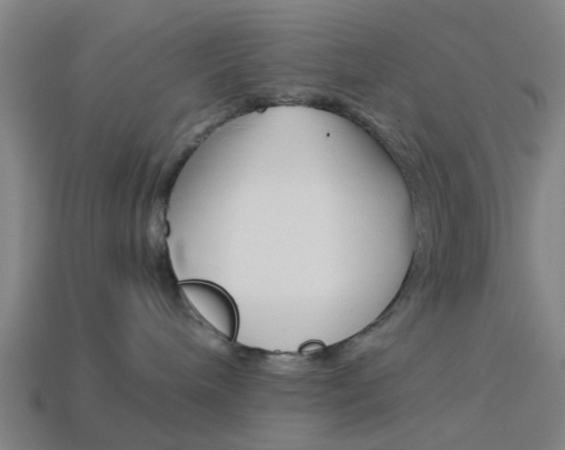 X0000113990240200910021016
