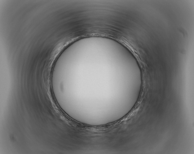 X0000113990241200910021015