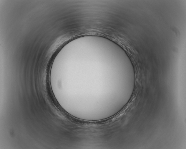 X0000113990242200910021015