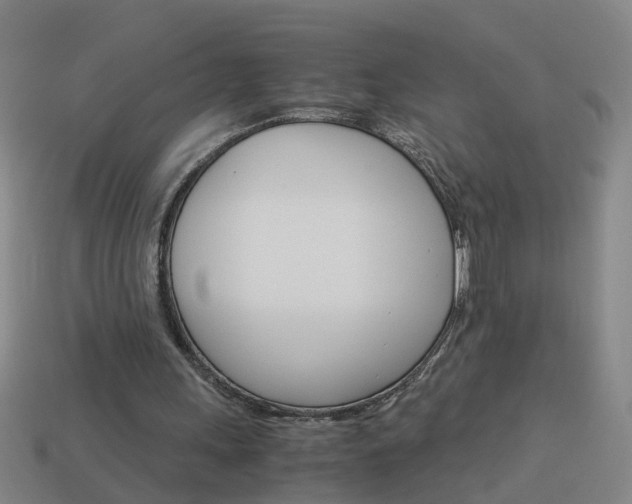 X0000113990243200910021015