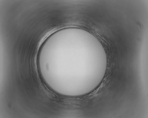 X0000113990244200910021015